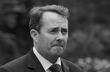 Liam Fox - Steve Punter, Flickr - CC